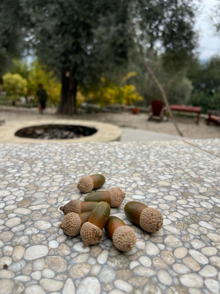 Antalya Bodrum Kayasi Dag Oteli Hasdumen Esterno foto